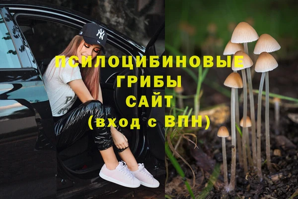 PSILOCYBIN Абаза