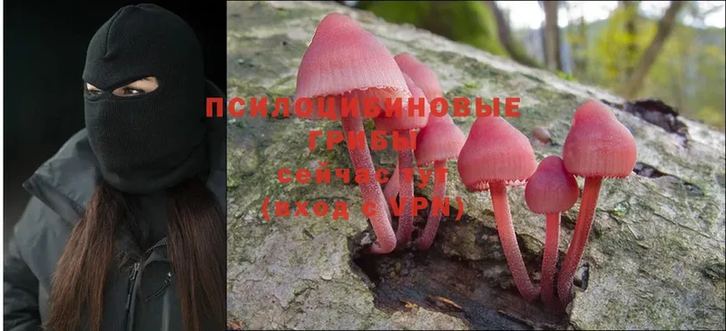 Псилоцибиновые грибы Magic Shrooms  Бахчисарай 